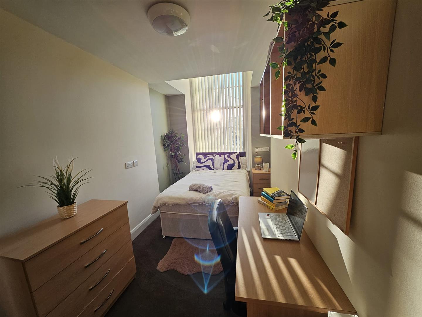 Flat 2, 5 Queen Street